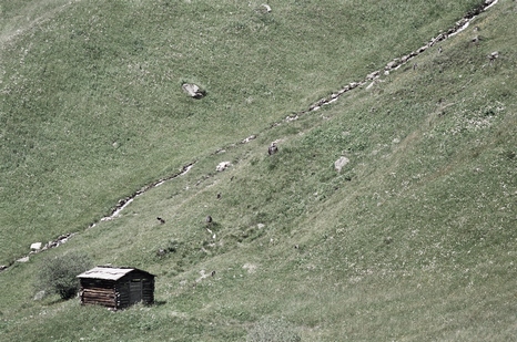Heuschnitter unter Wolken - Foto 65
