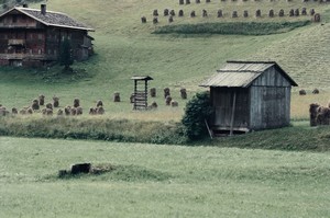 Heuschnitter unter Wolken - Fotoblatt