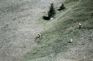 Heuschnitter unter Wolken - Fotoblatt