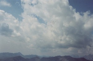 Heuschnitter unter Wolken - Fotoblatt