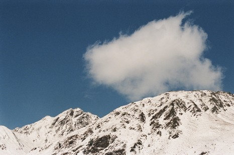 Heuschnitter unter Wolken - Foto 94