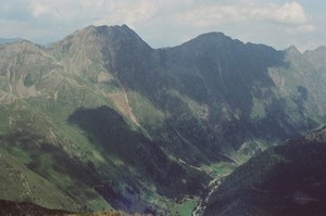 Heuschnitter unter Wolken - Fotoblatt