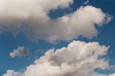 Heuschnitter unter Wolken - Foto 102
