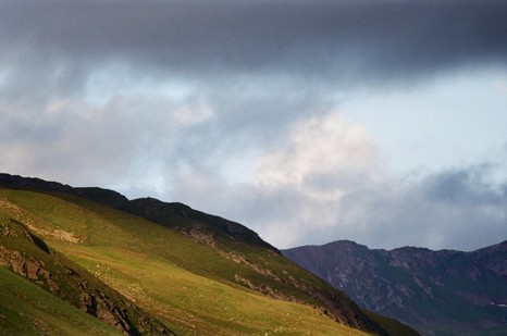 Heuschnitter unter Wolken - Foto 107